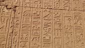 Ancient Egyptian writing, Egyptian hieroglyphs, wall inscriptions
