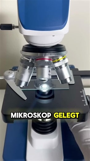 Was verbirgt sich wirklich in einem Tropfen Poolwasser? 🔬