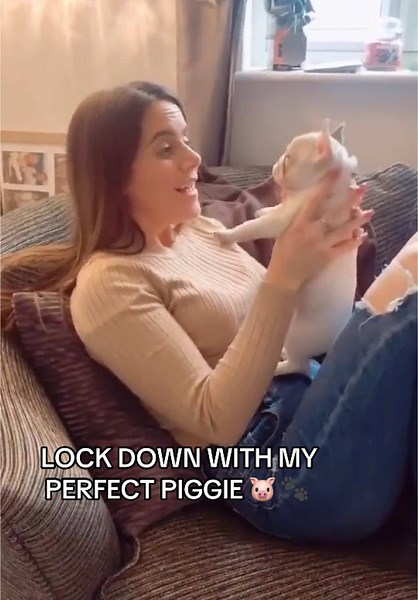 Lock down memories 🥹💗☀️🐾 #frenchbulldog #puppy #dogsoftiktok #throwback #lockdown #fyp #frenchiesoftiktok #frenchiepuppy #frenchbulldogpuppy #puppylove