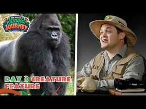 Strong Silverback Gorilla! Creature Feature: Day 3 | The Great Jungle Journey VBS