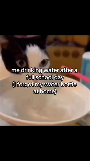 CHLOCHLO on Instagram