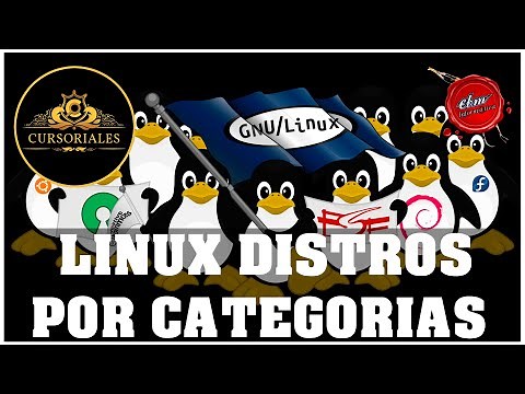LAS MEJORES DISTRIBUCIONES DE LINUX POR CATEGORIAS - 2022