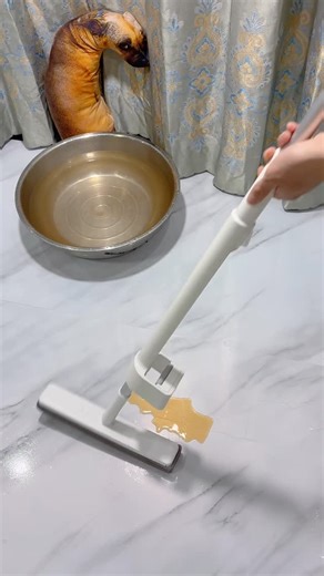 PetBlissCo on Instagram: "Tired of wringing out your mop by hand? 🙄 Let the self-wringing mop do it for you! 💧✨ Comment ‘Link’ to find out more! 🧹 #mop #magicmop #clean #satisfyingcleaning #cleaninghacks"