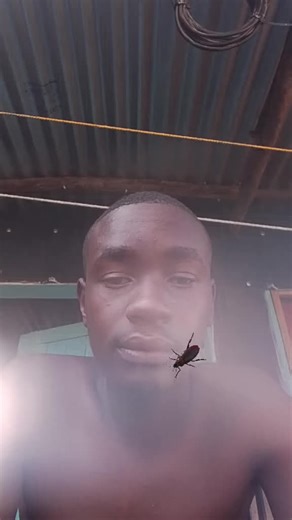 mcjob (@user6377943300262)’s videos with original sound - MaDlangamandla 21