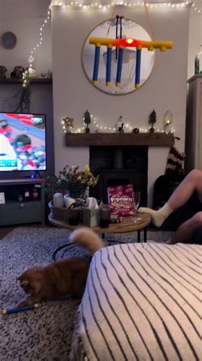 I think it might be my favourite game 👀 #cat #catvideo #catslovers #funny #gingercat