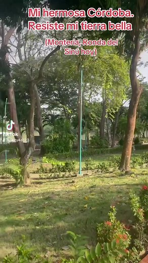 Discover Montería: Beautiful Córdoba Awaits You