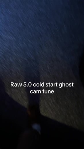Raw 5.0 Cold Start Ghost Cam Tune