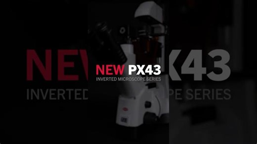PX43 Inverted Microscope Series Sneak Peek | by Motic Europe | Motic Europe