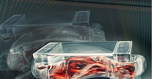 Building machines from muscle: University of Illinois demonstrates "walking" bio-robot