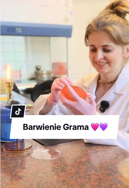 Prolab Laboratorium na TikTok