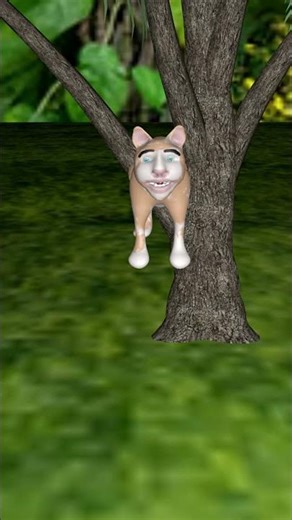 Cat Fights Fox And Wins!#shorts #catvsfox #animalfight #junglefight #viral #wildlife