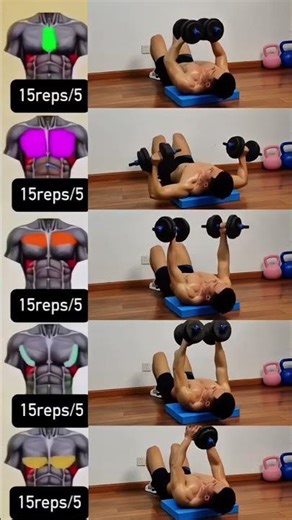 ABS WORKOUT for EVERYONE: From BEGINNER to ADVANCED for a Strong Core!