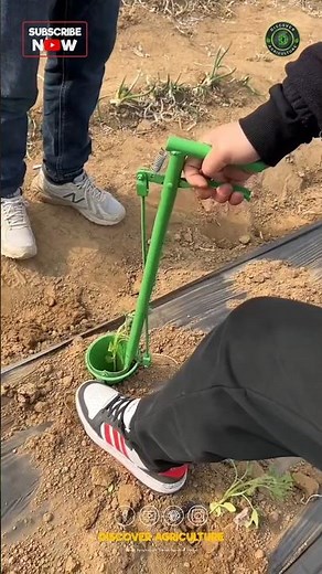 Simple Manual Vegetable Planting Tool