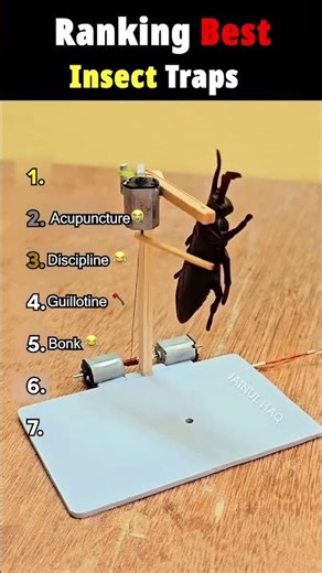Ranking BEST INSECT TRAPS