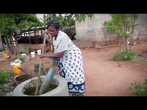 Take On: Sustainable Energy African Women Turn Manure Into Opportunity