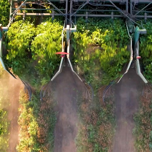 Sedrick Hicks on Instagram: "We’re back to our regular schedule program. K&E Farms #dji #dronephotography #peanuts #farming #air2s"