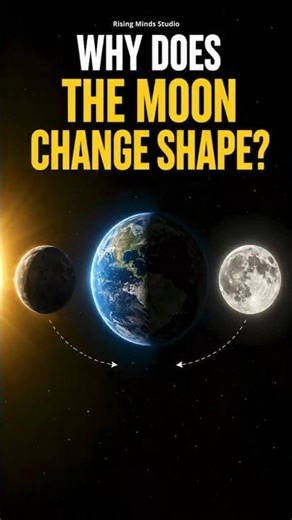 Why Does the Moon Change Shape? 🌕
