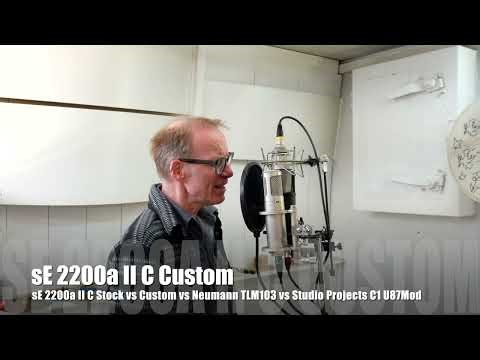 sE 2200a II C Stock vs Custom vs Neumann TLM103 vs Studio Projects C1 U87Mod