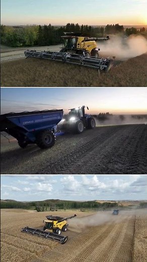 2025 Harvest | Lakeland College Canada