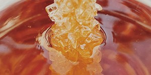 Propoli, tutte le proprietà e i benefici da conoscere