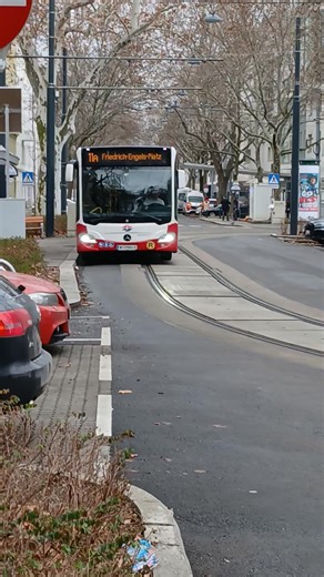 Exploring Line 11a to Friedrich Engels Platz in Vienna