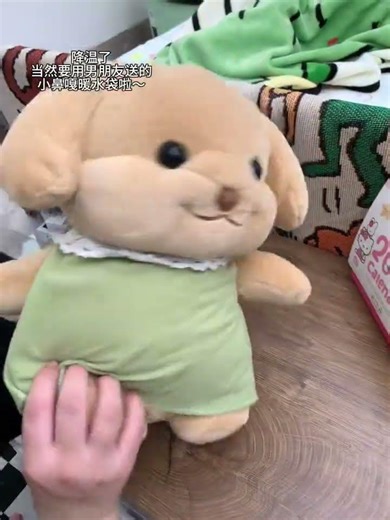 When it's cold, who hasn't received a boyfriend's cute nose warmer water bag