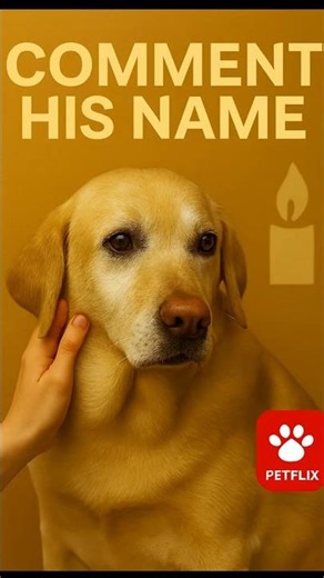 Add His Name — Memory Wall Tonight 🕯️🐾