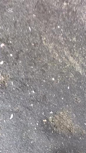 YOUNGBROS (@youthbros)’s videos with original sound - YOUNGBROS