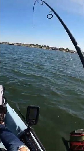 Catching Big Striped Bass with Flutter Spoons from Kayak!