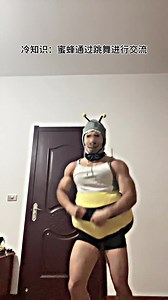 嗡嗡嗡🐝