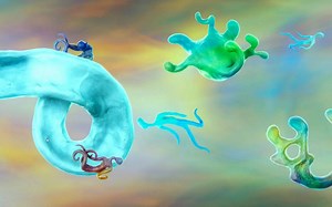 《Wurroom》全流程攻略