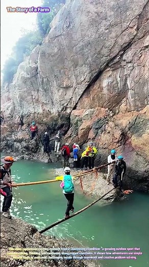 Thrilling Coasteering Adventure: Watch Hikers Cross a Bamboo Bridge Over Ocean Pools! 🌊🎋⛰️