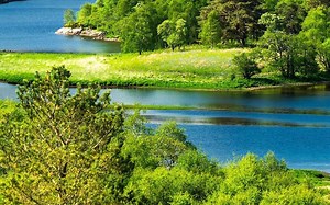 4 一年级数字谜，5 一年级应用题，6 一年级几何，7 一年级计数