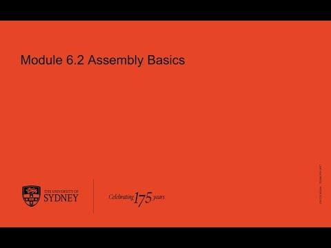 Module 6.2 Assembly Basics