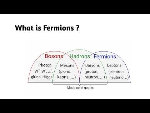 What is Fermions ?