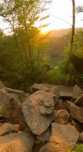 I know a spot in the forest… but you’re not supposed to see this. #foryou #fyp #forest