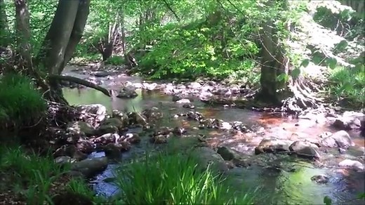 Hoëgne - een mooie wandeling in de Ardennen - Ardennen.nl