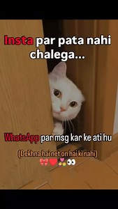 ◄⏤͟͞✿͜͡ 𝐀𝐩𝐬𝐚𝐧𝐚ᰔᩚ𓂃💗 | 👀👩‍❤️‍👨💗 | Instagram