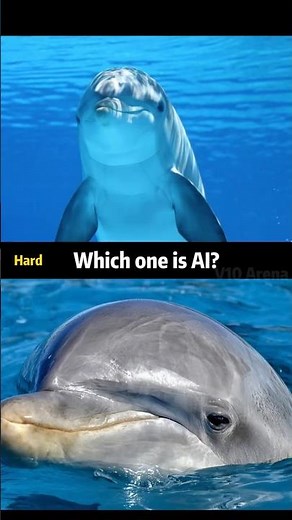 Spot the Fake! Dolphin, Shark & Capybara – AI or Real? 🌊