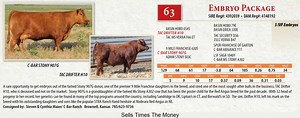 Lot 63: Reds On The Prairie Red Angus Auction - Annual Red Angus Female Sale