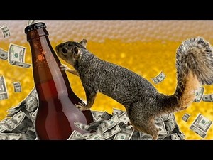 Would You Pay $20k To Drink Beer Out of a Dead Squirrel? - Up At Noon Live!