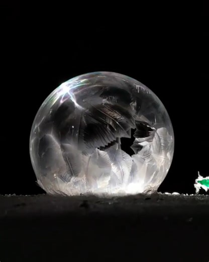 19K views · 449 reactions | 略 How Mesmerizing! These Frozen Bubbles Are Beautiful. Video thanks to Timthetoothninja | The Alaska Frontier | Facebook