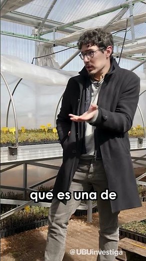 Los beneficios de la biomasa🍂 como fuente de energía ⚡