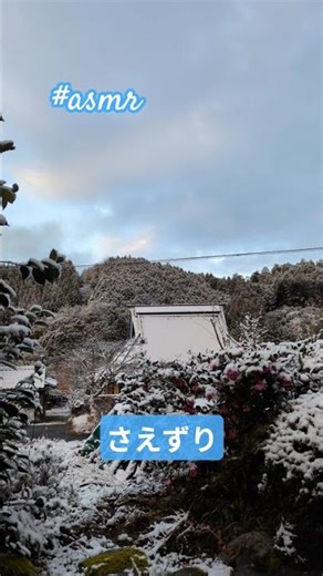 朝のさえずりサウンドをお届けします♪251227 #鳥のさえずり #鳥の鳴き声 #スローライフ #田舎くらし #自然音 #自然の音 #古民家暮らし #birdsong #asmr