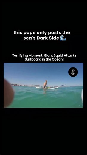 Sea of Unseen on Instagram: "They tell you it's just an attack a giant squid, a surfboard, a moment of primal fear in open water. But what if it wasn't aggression… it was acoustic investigation? What if the squid wasn't attacking the surfboard… it was trying to decode it? Here's what they don't tell you: ✅ The surfboard isn't just foam and fiberglass. It's a foreign frequency. To the squid, its shape and movement emit a vibrational signature that doesn't belong in the ocean's natural broadcast. 