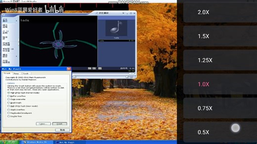 Windows XP有蓝屏死机(1.0丨0.5) 6