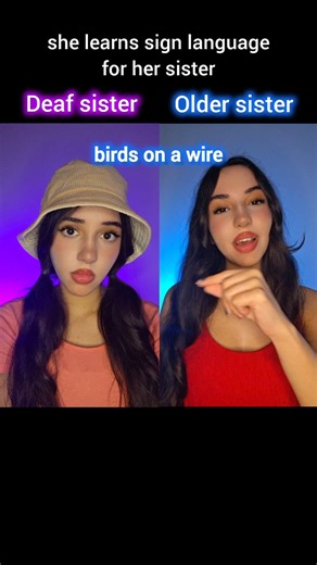 Pov : she learns sign language for her deaf sister #shorts #fypシ #viral