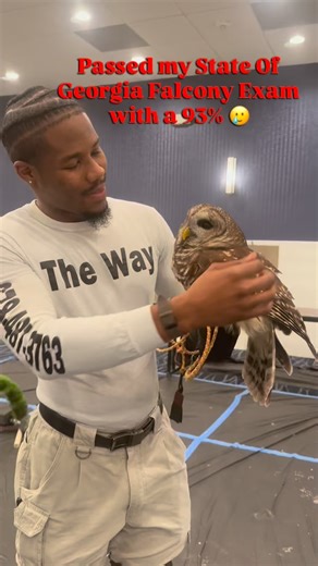 I’m so grateful to God that I passed my State Exam for Falconry with a score of 93% 🥹 I will soon officially be apart of the State Of Georgia’s Licensed Falconers Family 💪🏾 I’m forever grateful to Buster and his amazing Falconers with the Georgia Mountain Falconry Association for training me and supporting my journey. My animal family is expanding sooner than I thought. #derrickwilliamson #justiceforderrick #viralinstagramreelsvideo #blackfarmers #animals | Derrick Williamson