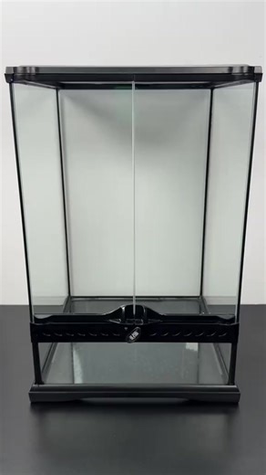 Yellow-headed Gecko - Gonatodes albogularis fuscus rehousing #yellowheadeddwarfgecko #gecko #dwarfgecko #newpet #reptile | Repttime