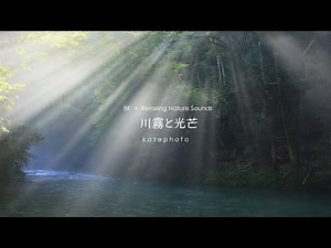 8K 日本の絶景 川霧と光芒 天から降り注ぐ光